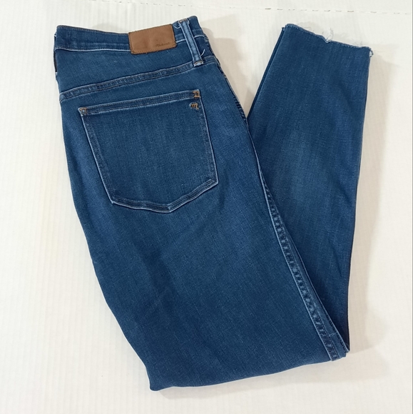 Madewell 10" High Rise Skinny Jeans in Danny Wash Tencel Denim Edition - Picture 1 of 8